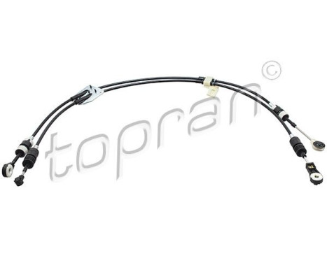 Cable, gear