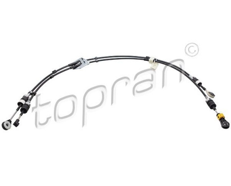 Cable, gear