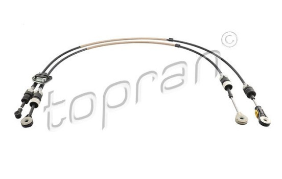 Cable, gear