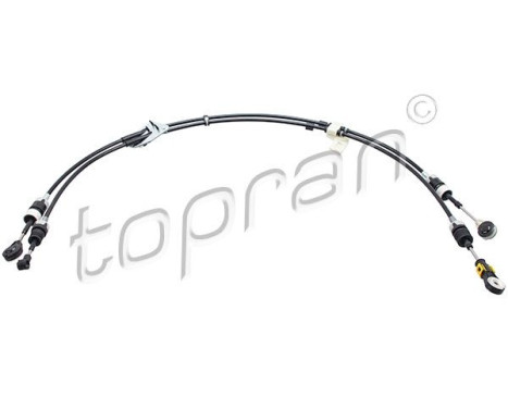 Cable, gear