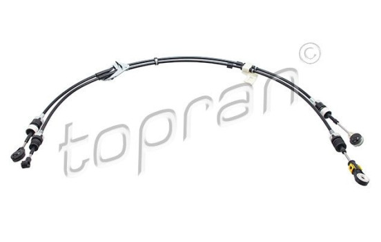 Cable, gear