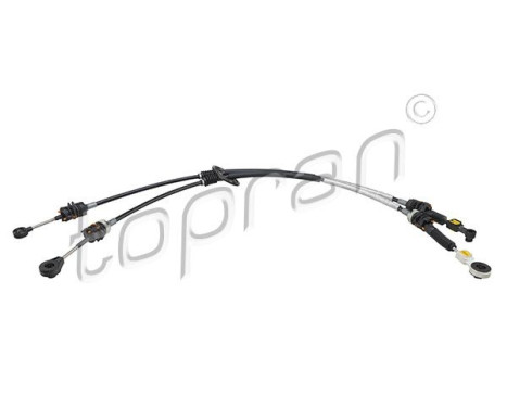 Cable, gear