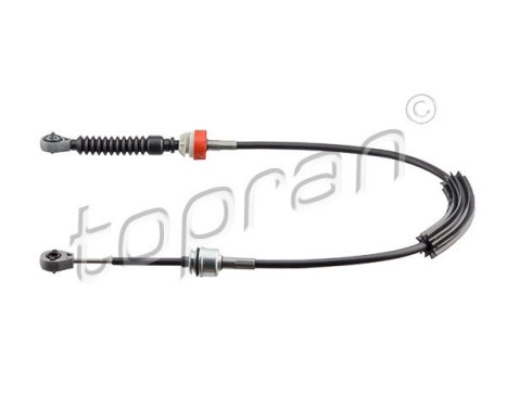 Cable, gear