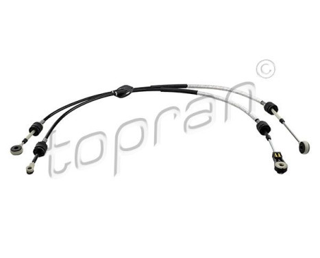 Cable, gear