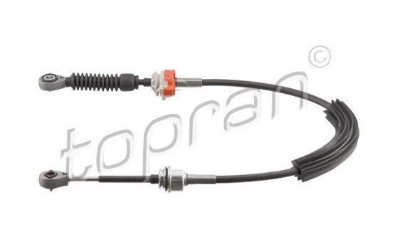 Cable, gear
