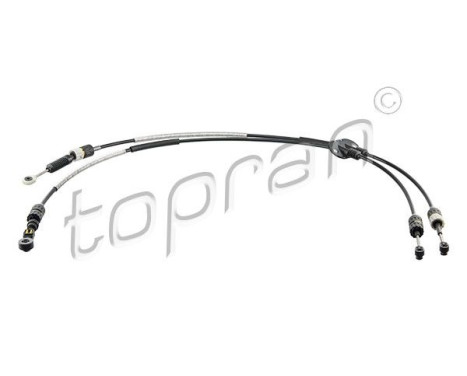 Cable, gear