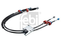 Cable, gear