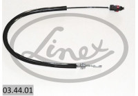 Cable, gear