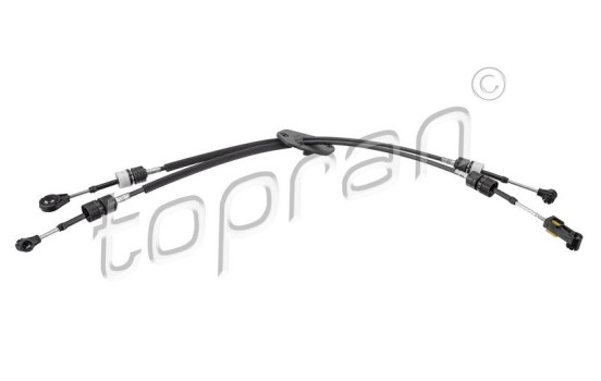 Cable, gear