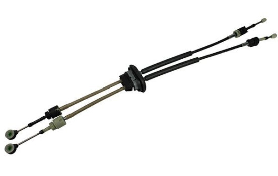 Cable, gear