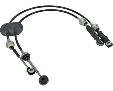 Cable, gear