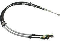 Cable, gear