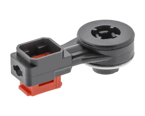 Cable, gear