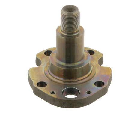Kingpin, axle beam 30276 FEBI