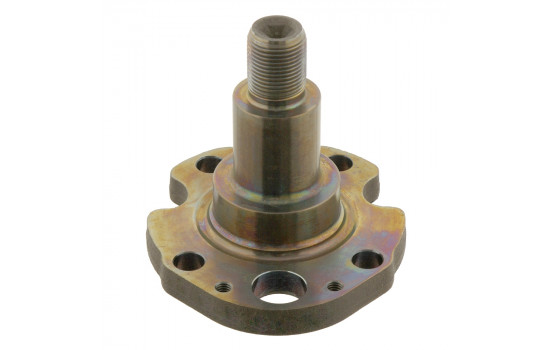 Kingpin, axle beam 30276 FEBI