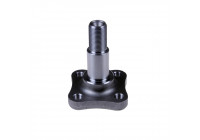 Kingpin, axle beam ADN18423 Blue Print