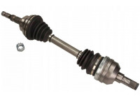 Drive Shaft