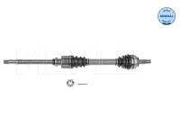 drive shaft