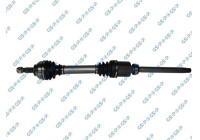 Drive Shaft
