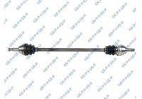 Drive Shaft