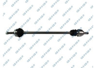 Drive Shaft