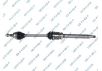 Drive Shaft