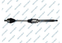 Drive Shaft