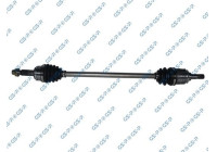 Drive Shaft