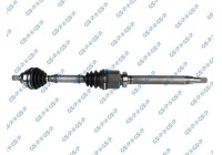 Drive Shaft