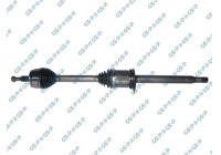 Drive Shaft