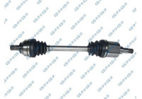 Drive Shaft