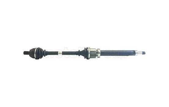 Drive shaft