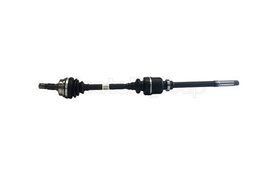 Drive shaft