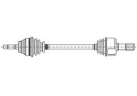 Drive shaft