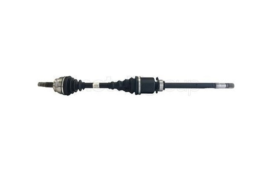 Drive shaft