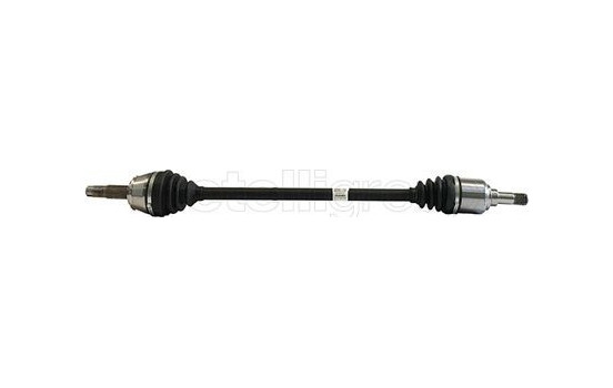 Drive shaft