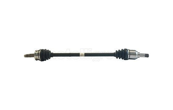 Drive shaft