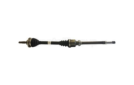 Drive shaft