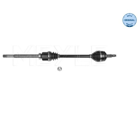 Drive shaft