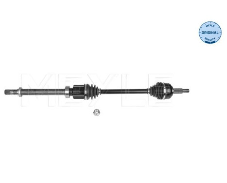 Drive shaft