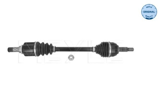 Drive shaft