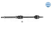 Drive shaft