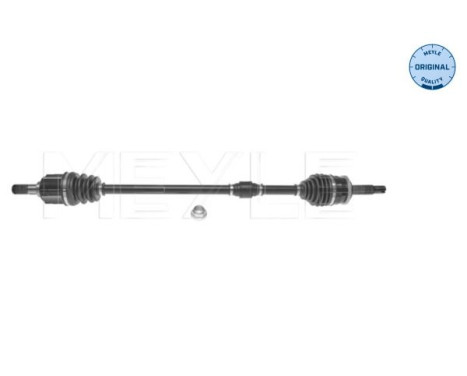 Drive shaft