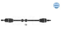 Drive shaft