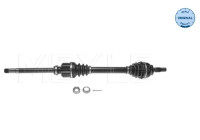 Drive shaft