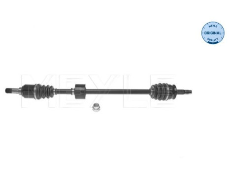 Drive shaft