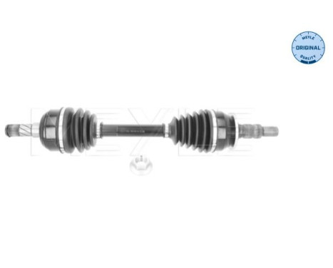 Drive shaft