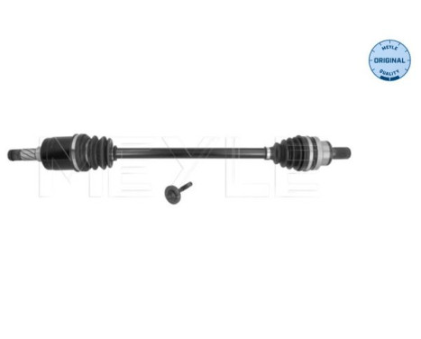 Drive shaft