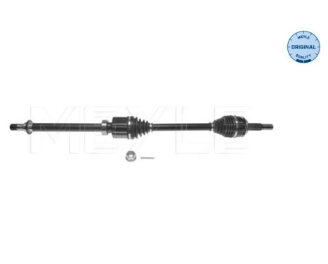 Drive shaft