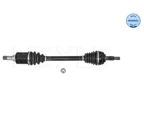 Drive shaft